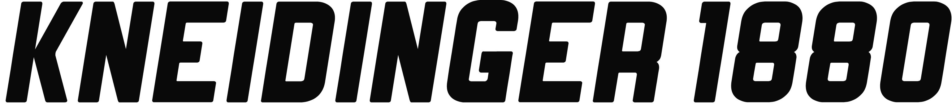 Kneidinger 1880 GmbH