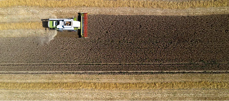 Ackerbau & Grünland