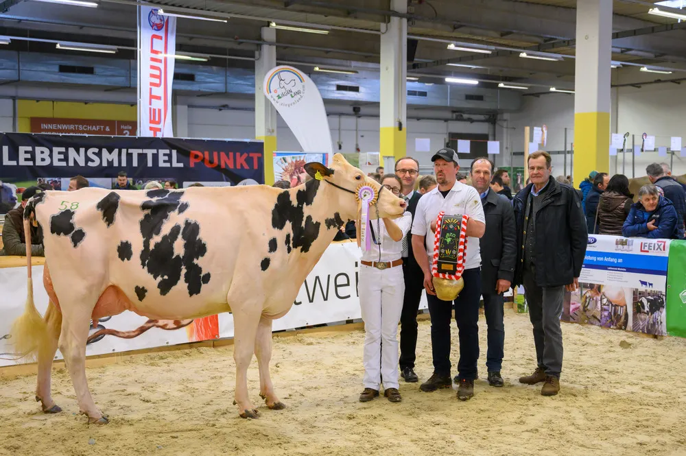 RZO Preisrichten Fleckvieh, Brown Swiss, Holstein