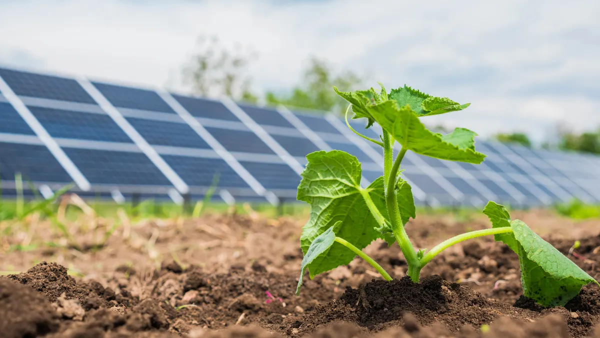 Energiewirtschaft