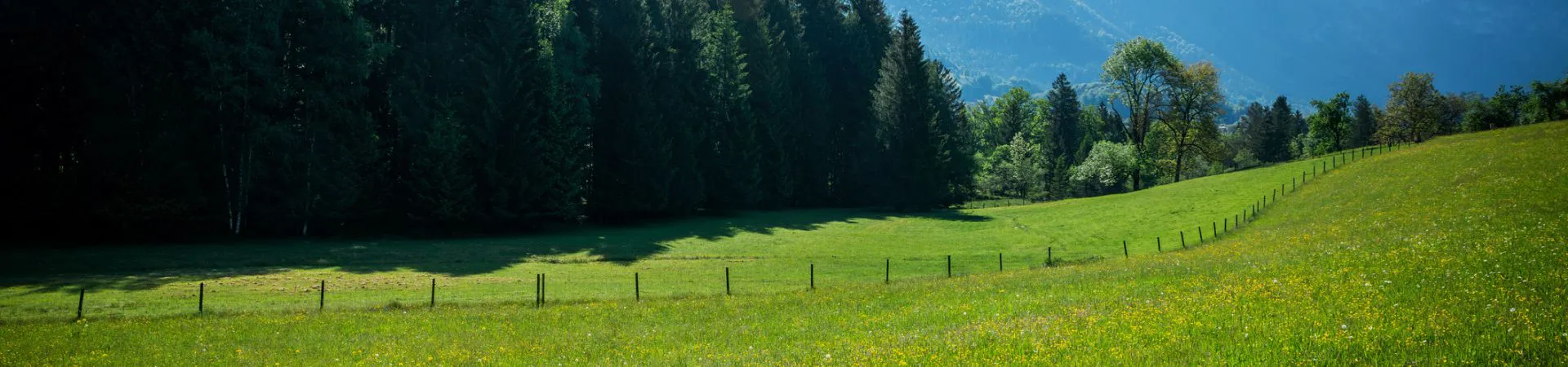Headerbild Agraria (6).jpg