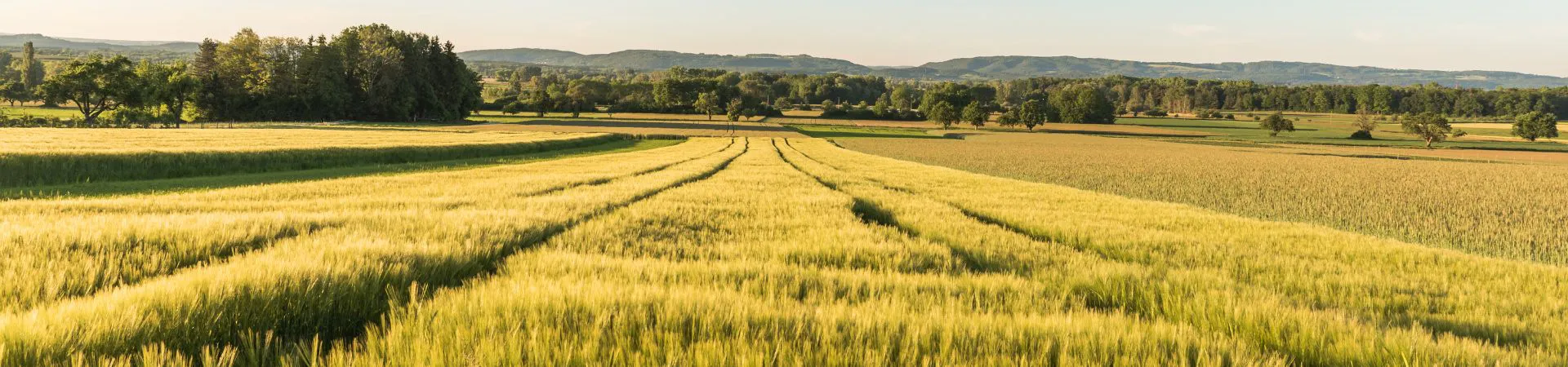 Headerbild Agraria (11).jpg