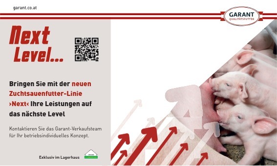 Ins_A5 quer_200x120_Zuchtsauenprogramm Next.jpeg